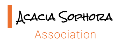 Logo Acacia Sophora IDFA – client HIS Global Care